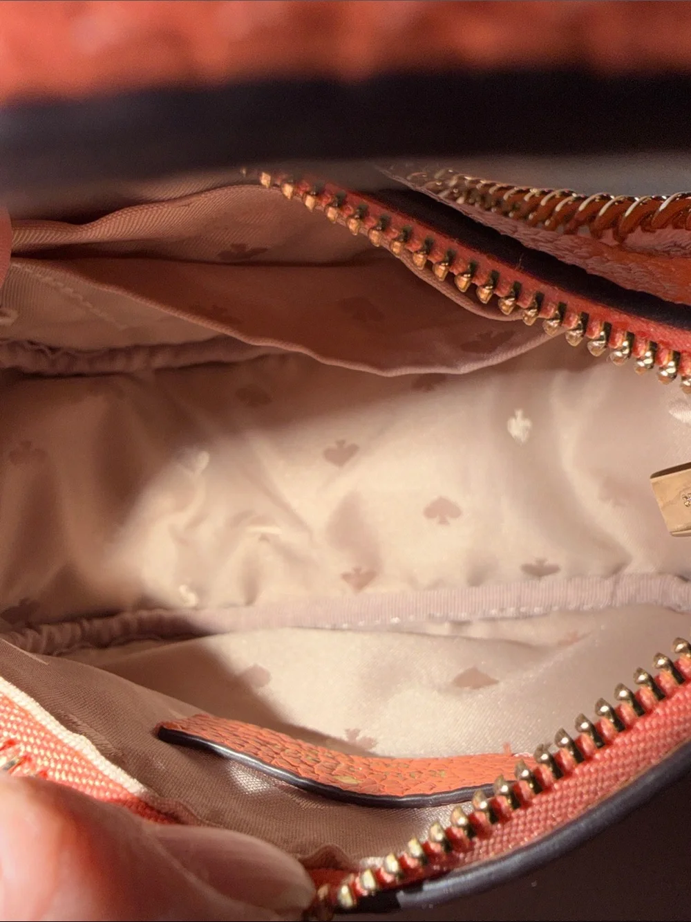 kate spade kate spade
